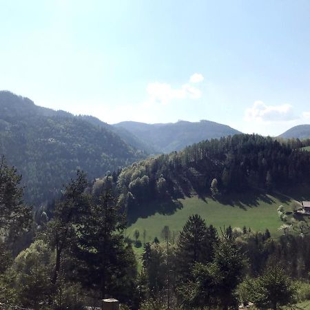 Waldblick Landhaus B&B Schwarzenbach an der Pielach Kültér fotó